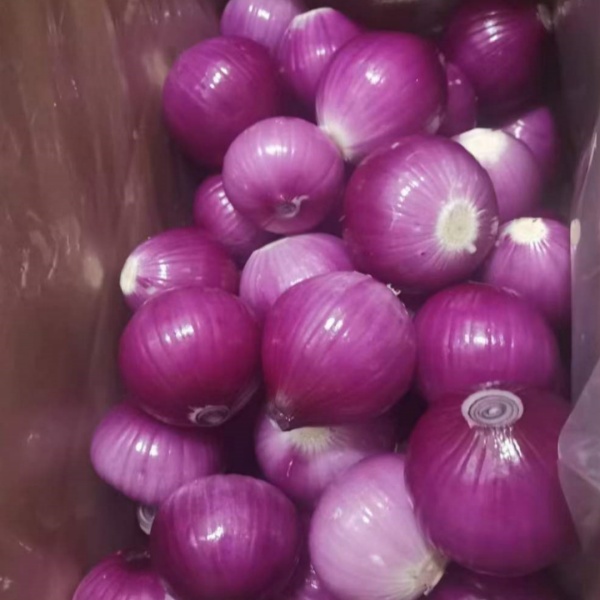 Fresh Onion