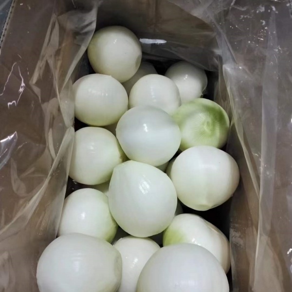 Fresh Onion