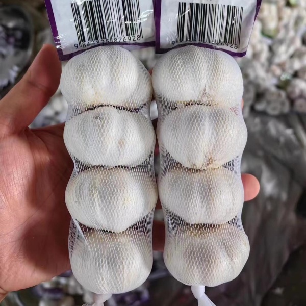 Fresh Garlic