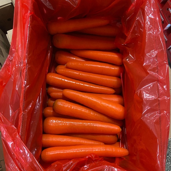 Fresh Carrot