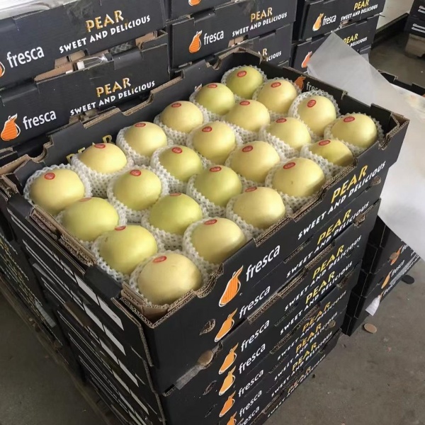 Fresh Pear