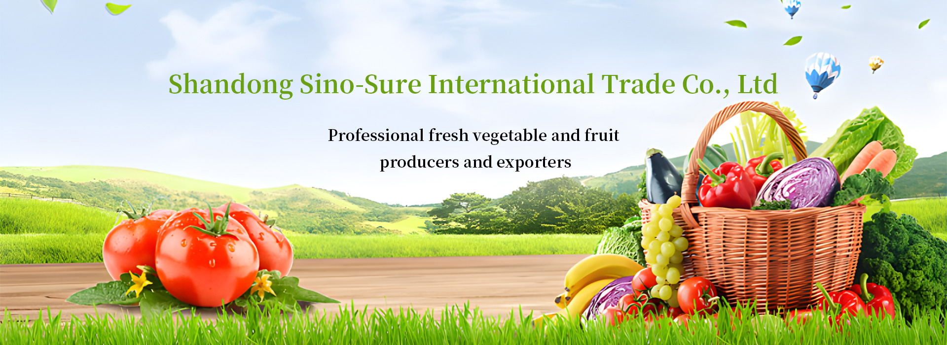 Shandong Sino-Sure International Trade Co., Ltd